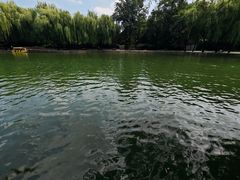 -团结湖公园