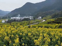 -塔川景区