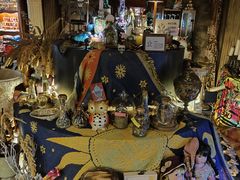 -雪灵魔法世界SHELLY’S TAROT(大良桂畔里店)