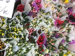 -循礼门鲜花花市(武汉循礼门店)