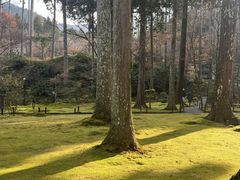 -三千院