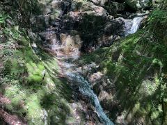 -本溪汤沟绿石谷森林公园