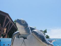 -广东惠东海龟国家级自然保护区