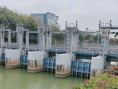 -福田红树林生态公园