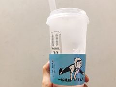 益生桃桃莓-我是酸奶君(壹方城店)