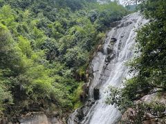 -大奇山国家森林公园