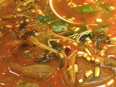 -豫丰汇河南名菜楼(武记餐饮)