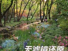 -上海共青森林公园