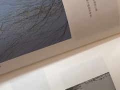 -东澳岛