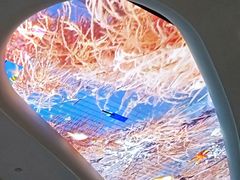 -瑞德姆美人鱼海底演艺主题餐厅(亚龙湾店)