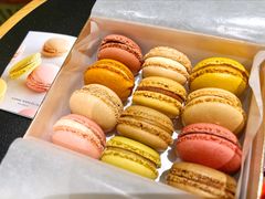 -Pierre Marcolini(德基广场店)