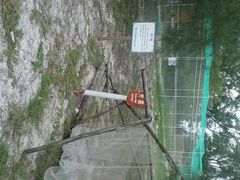 android_upload_pic-北海金海湾红树林生态旅游区