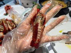 -洪福龙虾