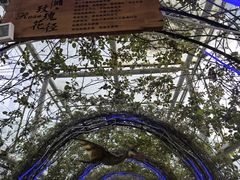 -沈阳植物园