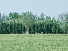 -汉长安城未央宫国家考古遗址公园