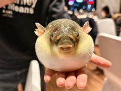 -永安鱼庄·镇江菜(东吴路店)