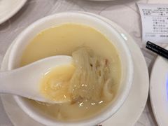 -凤城礼记鱼翅海鲜酒家(新马路总店)