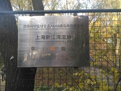 -新江湾城公园