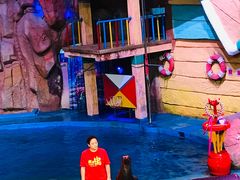 -烟台海昌鲸鲨海洋公园