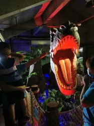 -恐龙探索乐园(磁器口店)