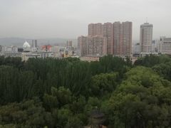 -青城公园
