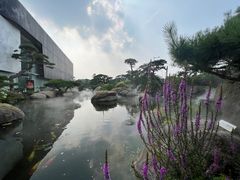 -罗红摄影艺术馆