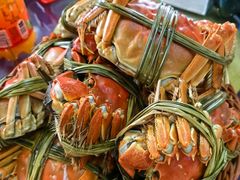 -渔娘蟹庄(阳澄湖莲花岛店)