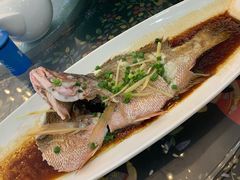 -巽寮印象美食部落餐厅·海鲜·地方特色菜(惠州体验店)