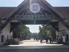 -上海海湾国家森林公园