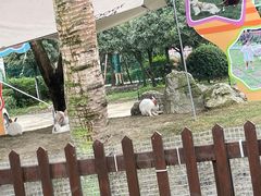 -洪湖家庭农场·团建·露营·会议