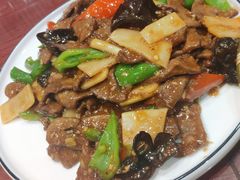 -邵年鸽(杨庄店)
