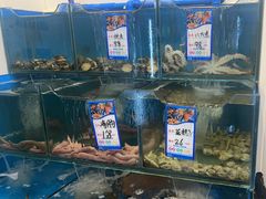 -小郭私房菜·海肠捞饭店(学士街店)