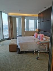 -大美母婴月子专护中心(紫峰店)