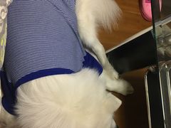 -海底捞火锅(银泰中心店)