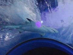 -常州海昌海洋探索馆