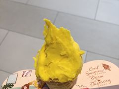 芒果冰淇淋-野人先生现做冰淇淋(北京环宇荟店)