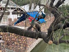 -J Create城市露营咖啡·简餐·宠物(上海动物园店)