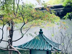 -秋霞圃