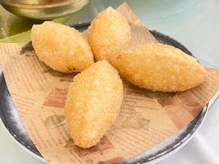 -泉龙渔村·粤式早茶·金牌烧鹅(中山三乡店)