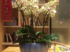-麦子MaiMassage(打浦桥店)