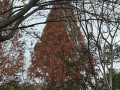 -三江森林温泉度假区