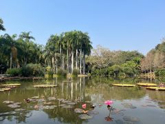 -中国科学院西双版纳热带植物园