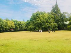 -上海共青森林公园