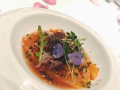 -蝶舍·MAISON PAPILLON