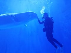 -多彩贵州城极地海洋世界