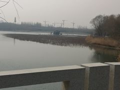 -大兴滨河森林公园