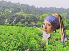 -龙寺生态园