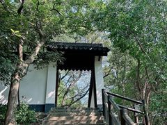 -上海佘山国家森林公园天马山园