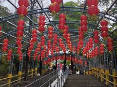 -东莞观音山旅游风景区
