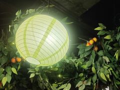 -广州花园酒店荔湾亭·地道点心·粤式饮茶